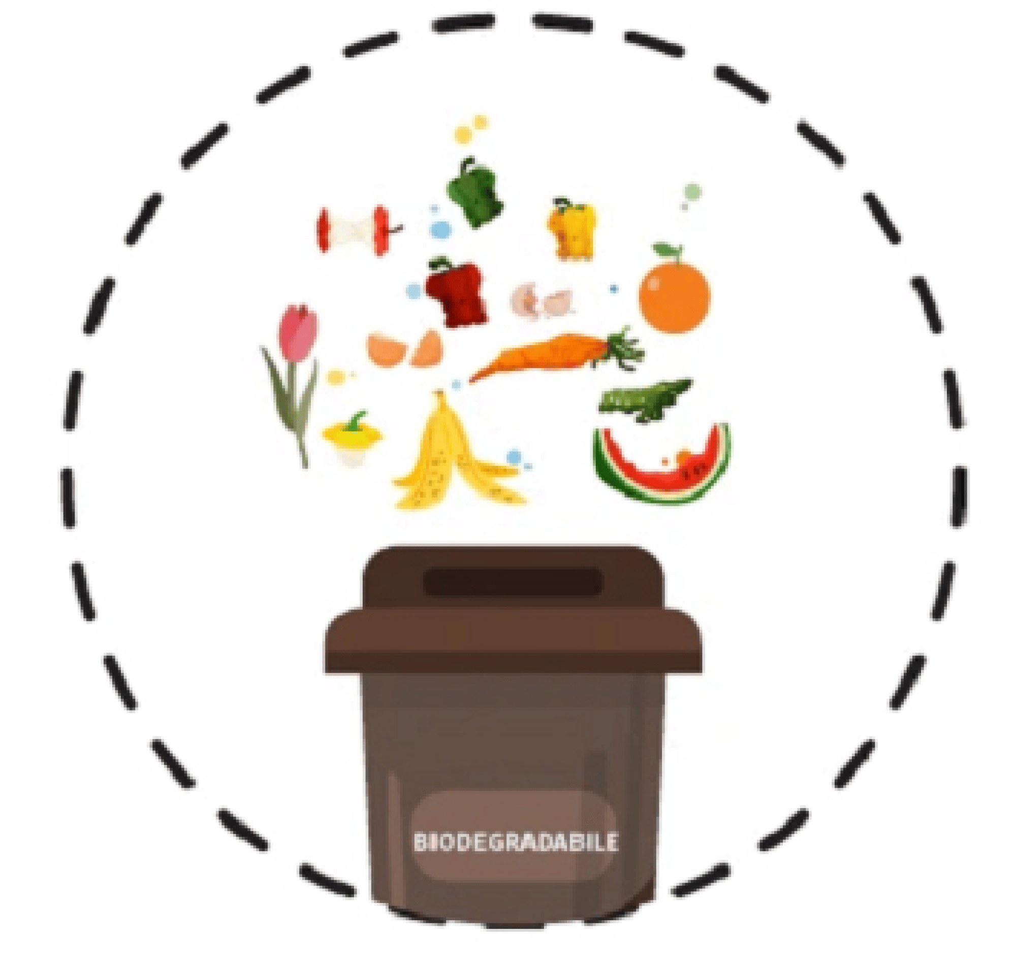 biodegradabile1_464x374.png